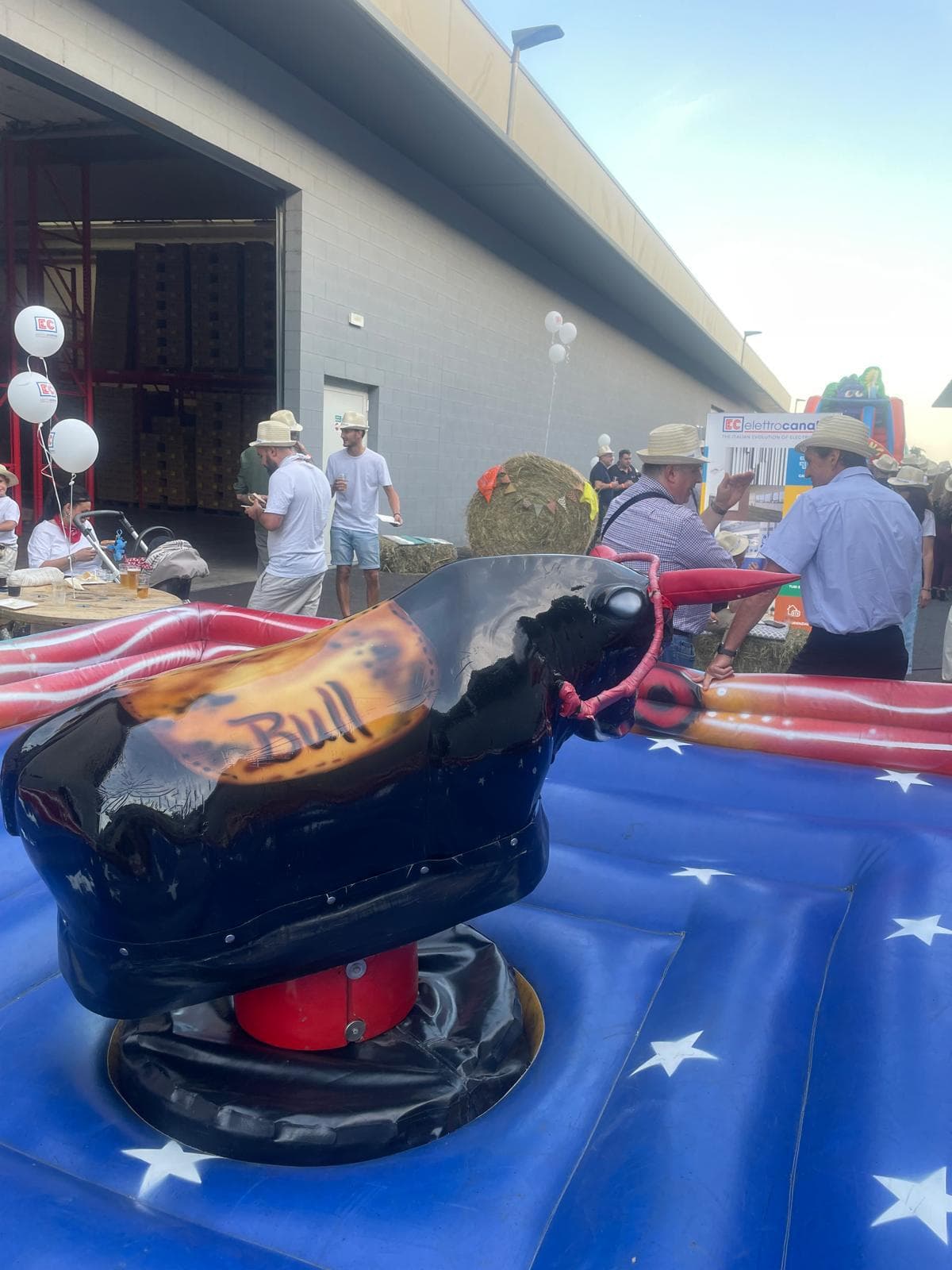 Toro meccanico: dettaglio